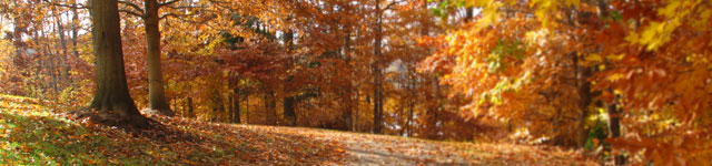 Union Church | Berea Kentucky header image